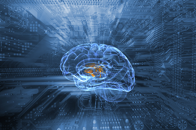 schematic of human brain and communication via circuit-board, ar